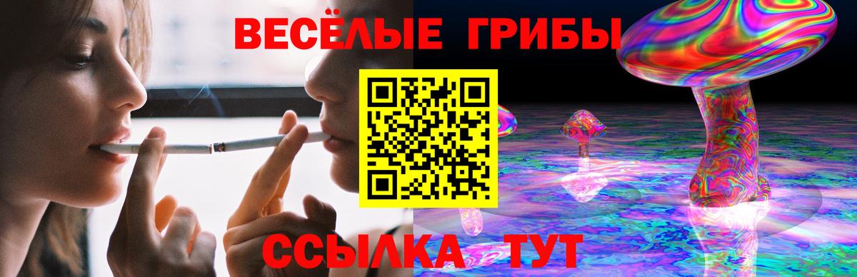 Псилоцибиновые грибы ЛСД  Вход с VPN  Галлюциногенные грибы мухоморы  Баксан 